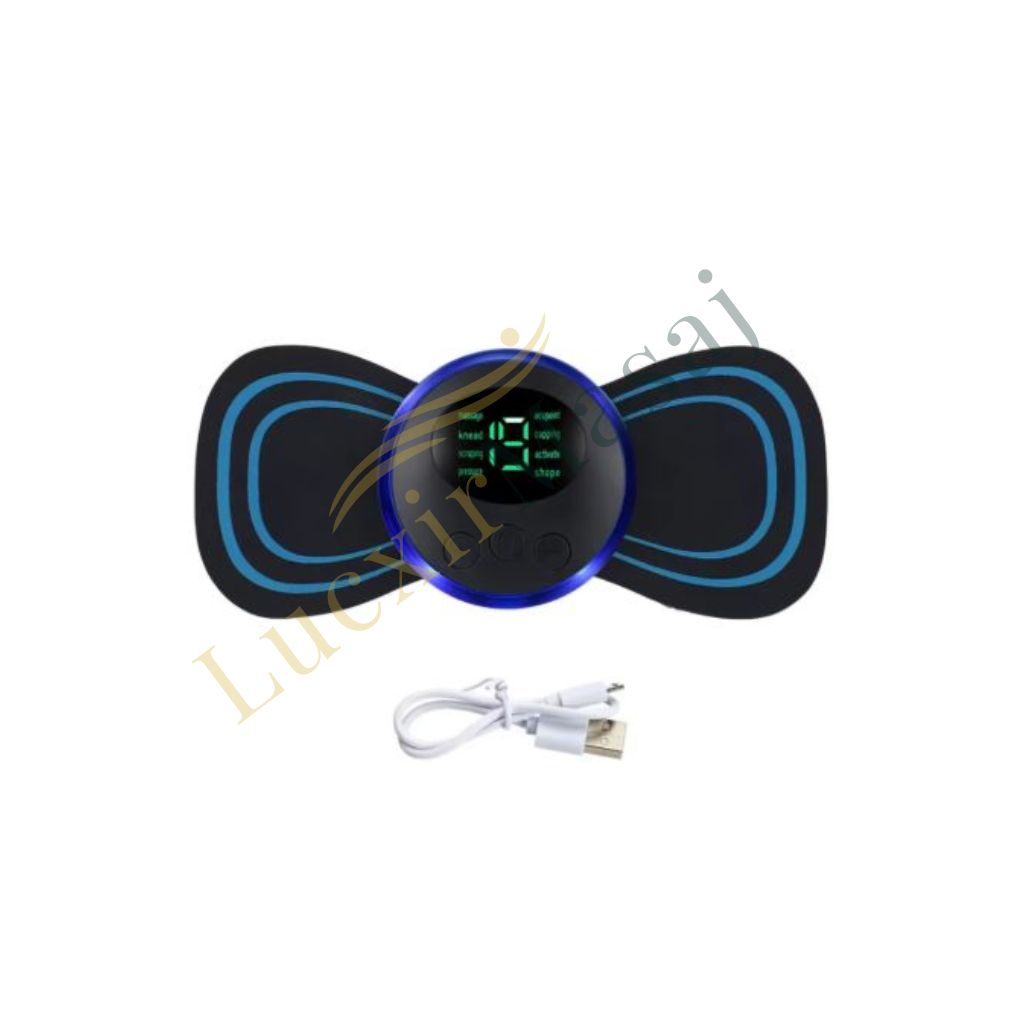 Masajeador muscular portátil